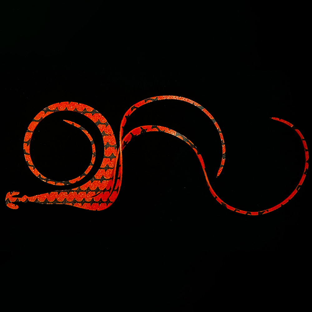 放大