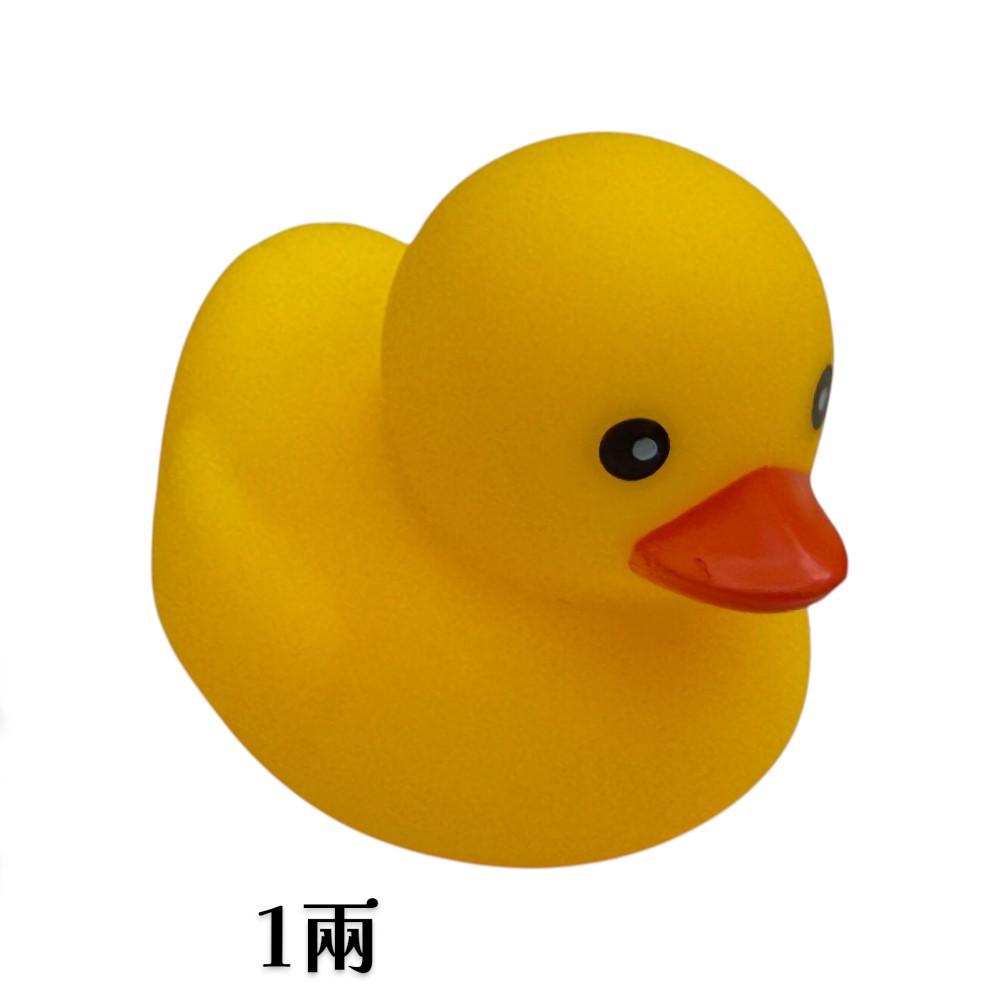 放大